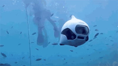 1546388822363292.gif 1546388822363292.gif