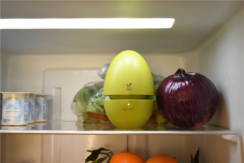 1619486076277360.jpg DSC_0269.jpg